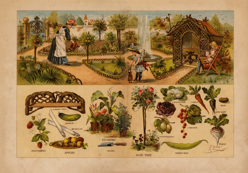 O Jardim (litografia a cores) de English School