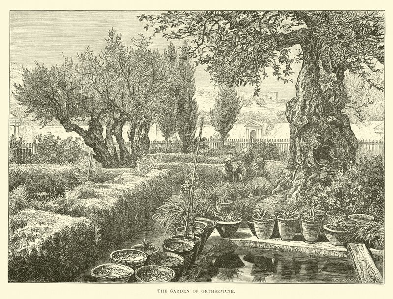 O Jardim do Getsêmani de English School