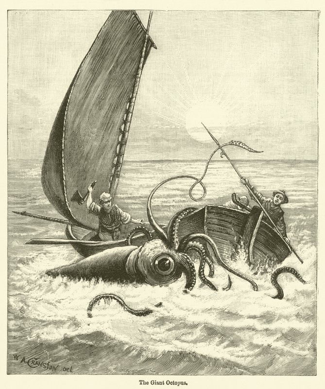 O Polvo Gigante (gravura) de English School