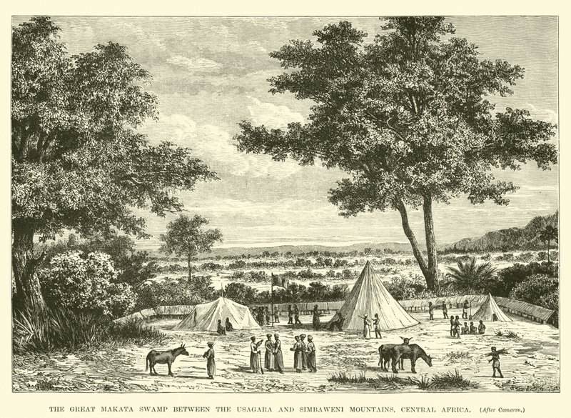 O, grande, Makata, pântano, entre, a, Usagara, e, Simbaweni, montanhas, áfrica central de English School
