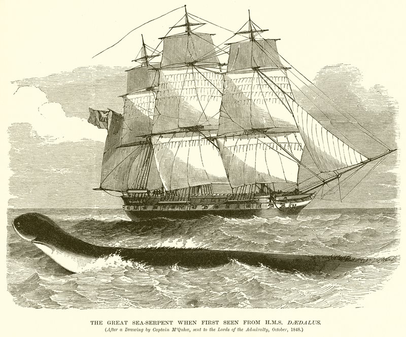 A Grande Serpente Marinha quando vista pela primeira vez a partir do HMS Daedalus de English School