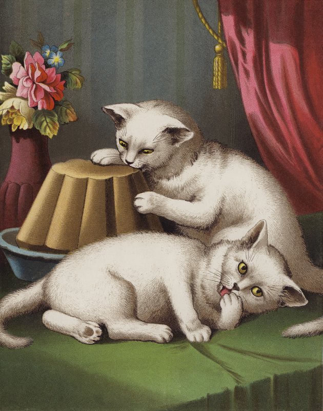 O Gatinho Ganancioso (cromolito) de English School