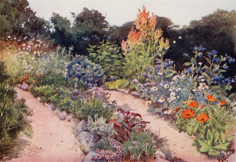 O jardim de ervas: Canteiros de ervas aromáticas em junho (litografia a cores) de English School