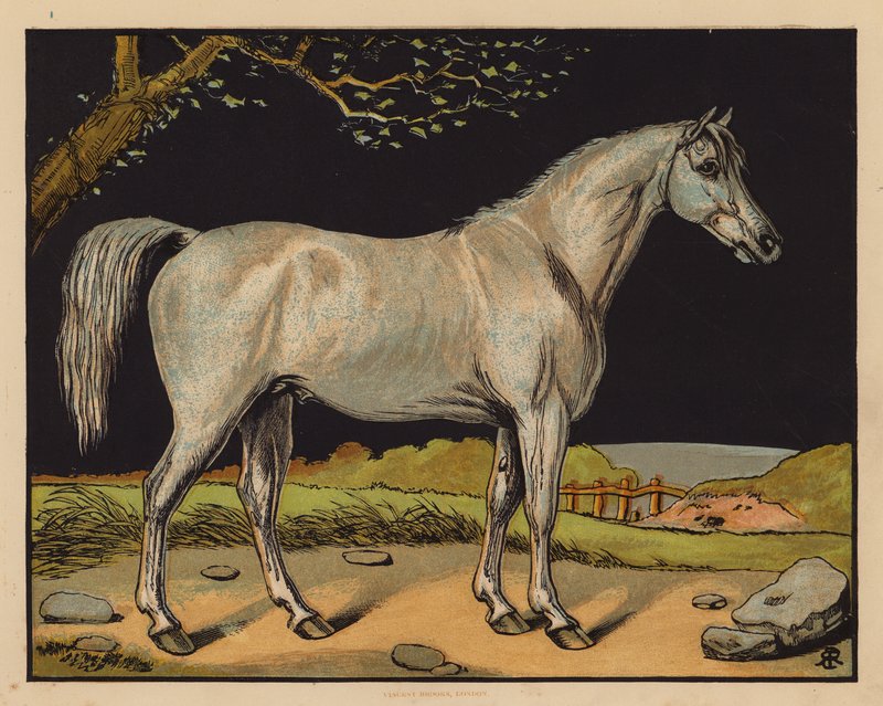 O Cavalo (litografia a cores) de English School