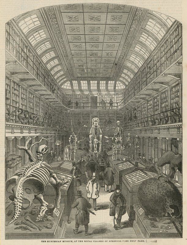 O Museu Hunterian no Royal College of Surgeons de English School