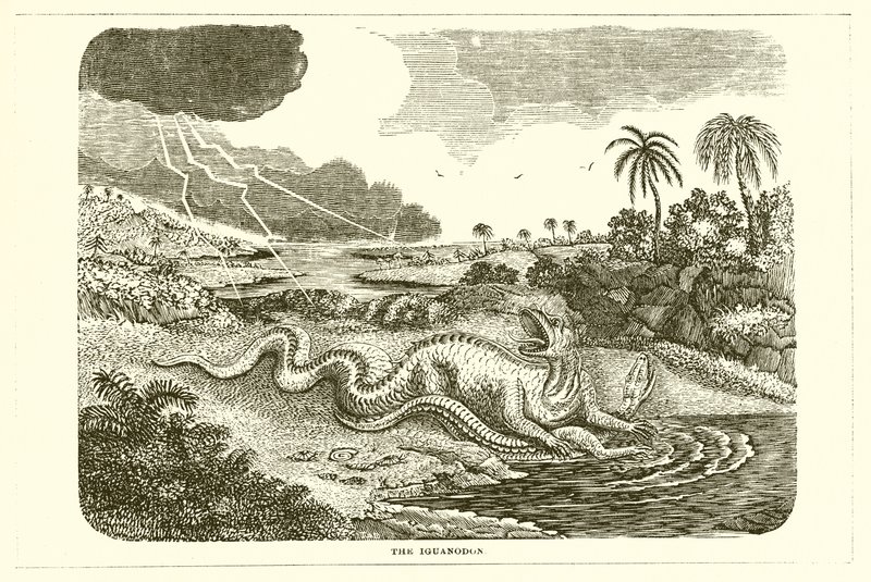 O Iguanodon de English School