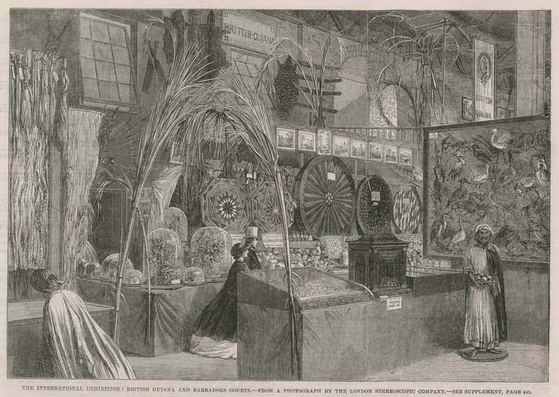 A exposição internacional; Tribunais da Guiana Britânica e Barbados de English School