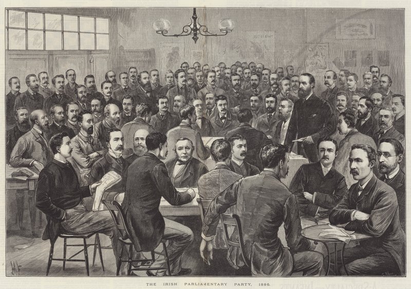 O Partido Parlamentar Irlandês de English School
