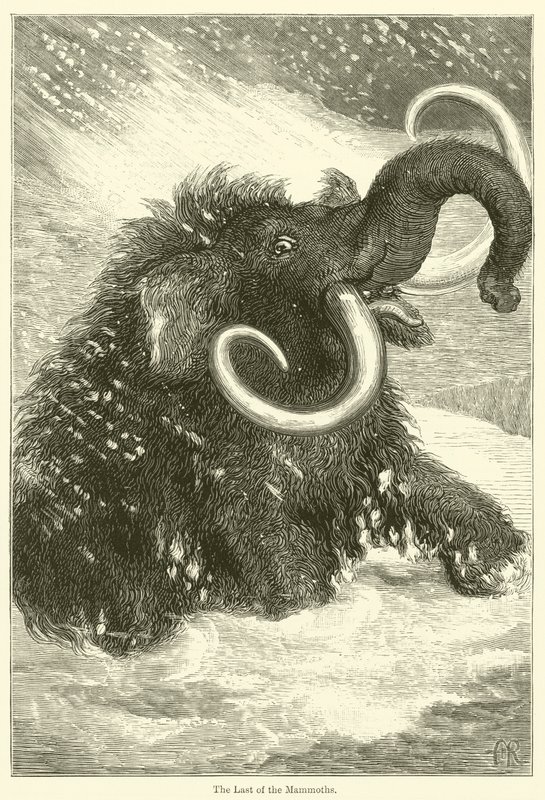 O Último dos Mamutes (gravura) de English School