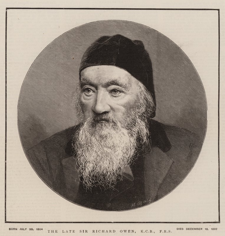 O falecido Sir Richard Owen, KCB, FRS (gravura) de English School
