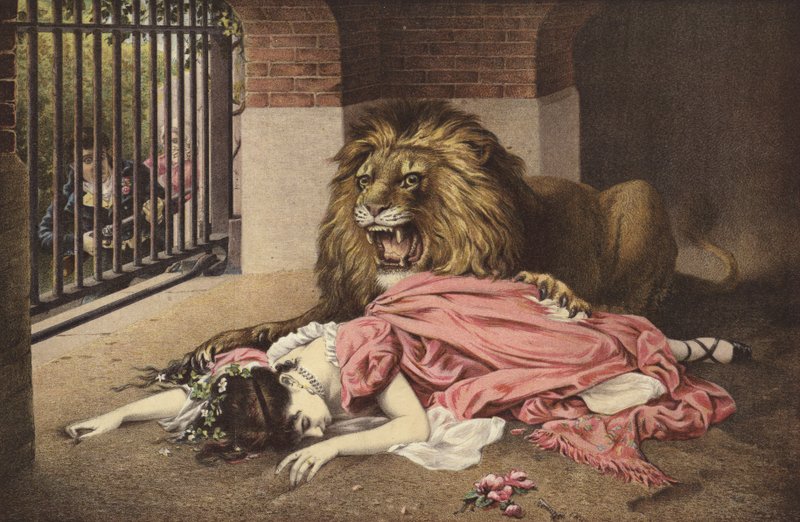 A noiva do Lions de English School
