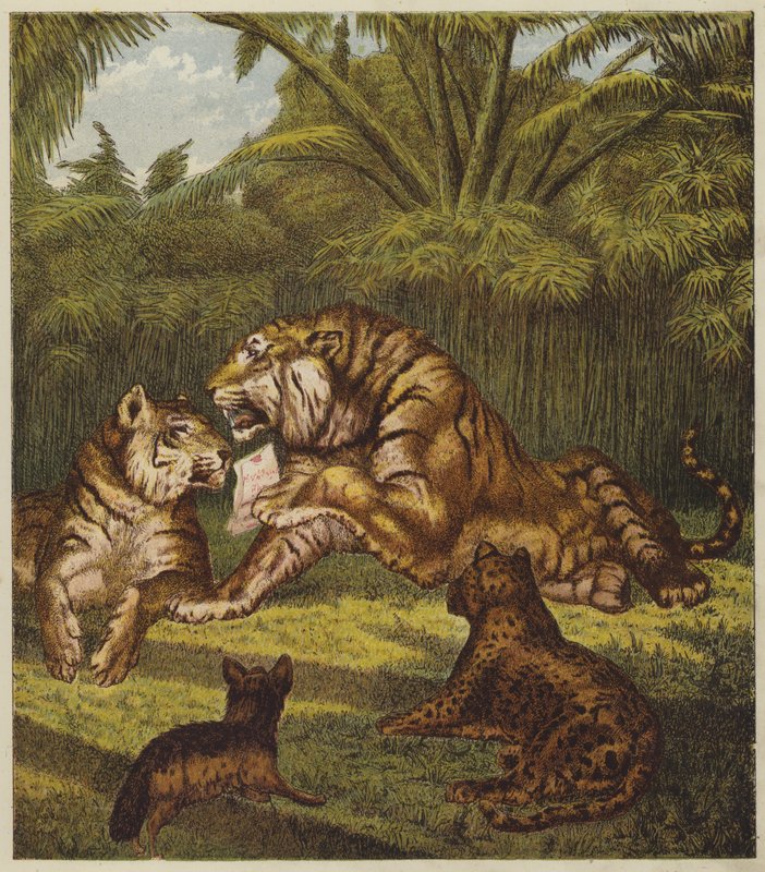 A Recepção do Leão (cor litho) de English School