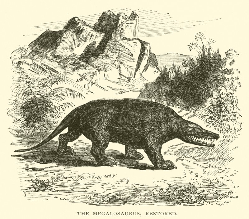 O Megalossauro, restaurado (gravura) de English School
