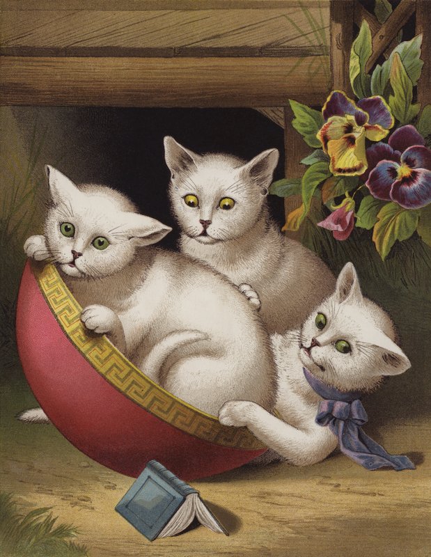 O Gatinho Feliz (chromolitho) de English School
