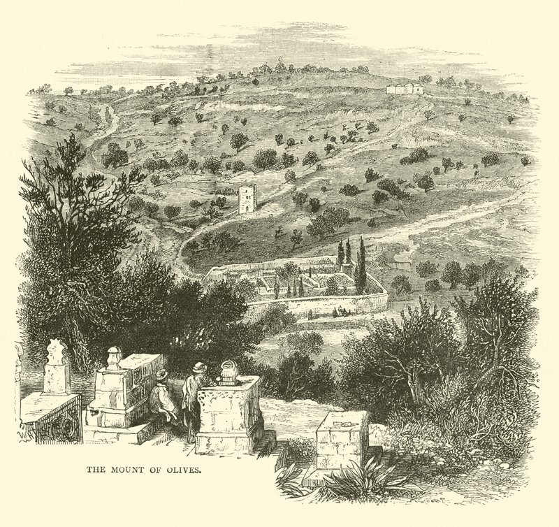 O Monte das Oliveiras de English School