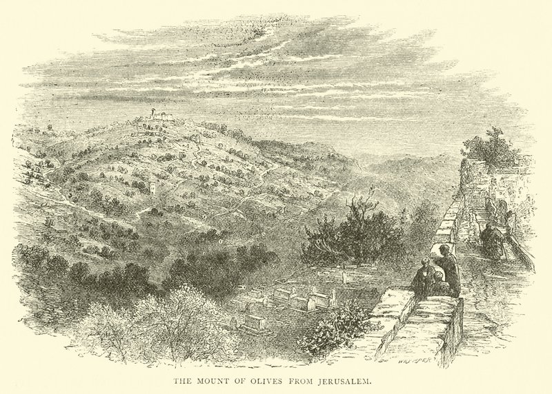 O Monte das Oliveiras de Jerusalém de English School