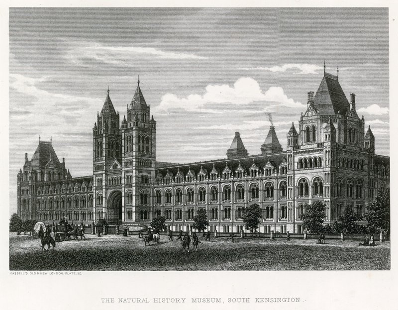 O Museu de História Natural, 1881 de English School