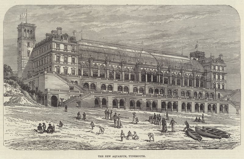 O Novo Aquário, Tynemouth (gravura) de English School