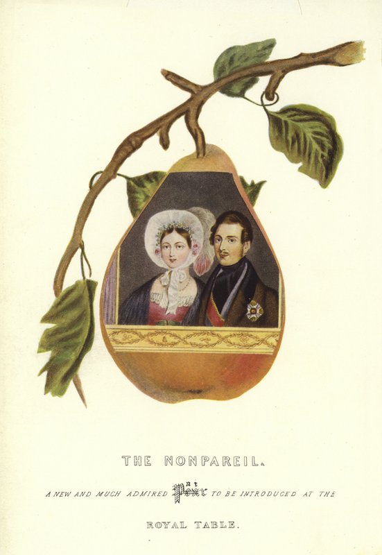 O Nonpareil com retratos da rainha Victoria e do príncipe Albert de English School