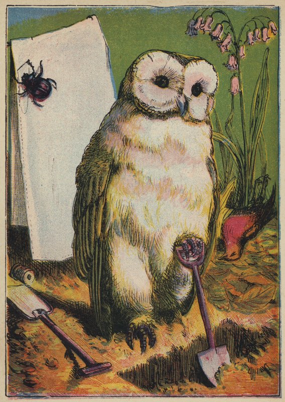 A Coruja, o Escaravelho e o Galo Robin (litografia a cores) de English School