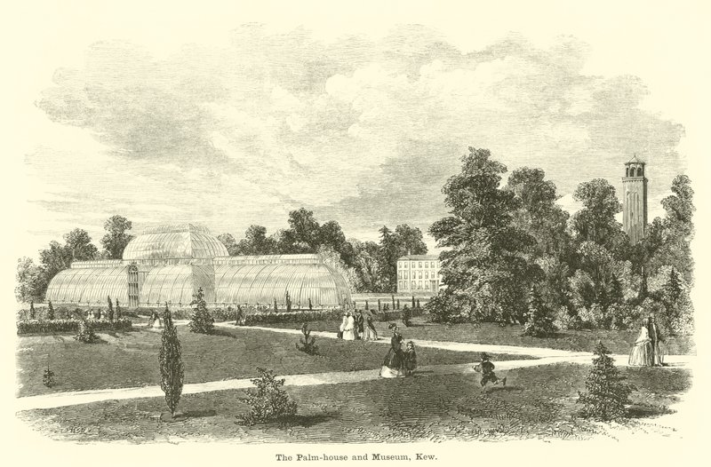 A casa de palmeiras e o museu, Kew de English School