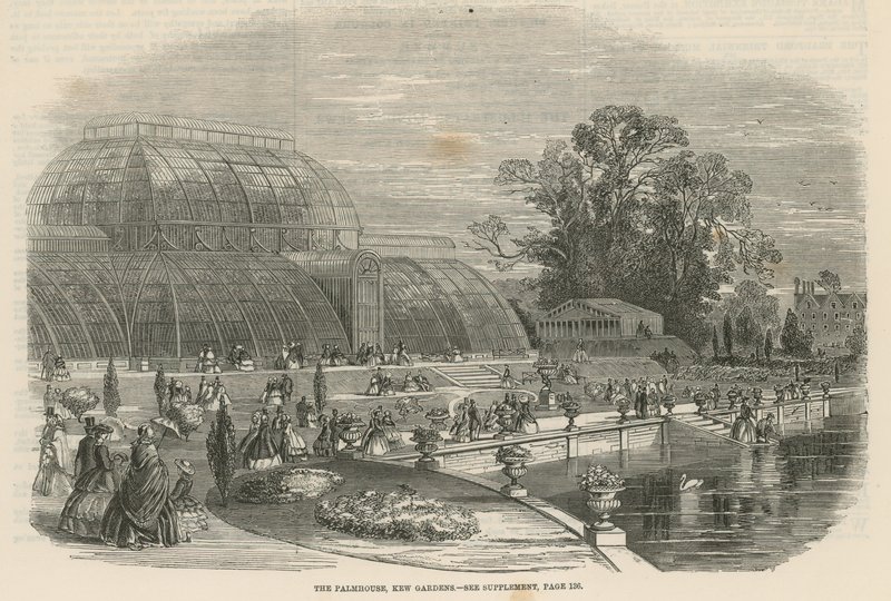 A, casa palma, kew, jardins, londres de English School