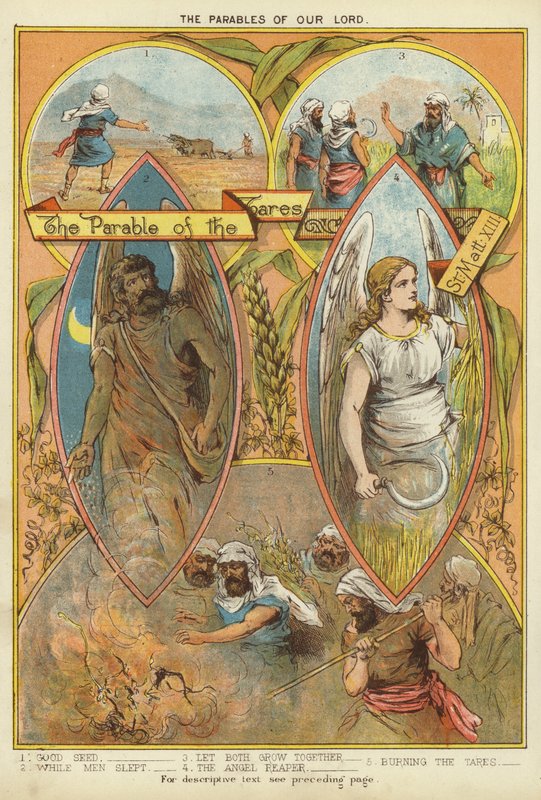 As Parábolas de Cristo: A Parábola das ervas daninhas (chromolitho) de English School