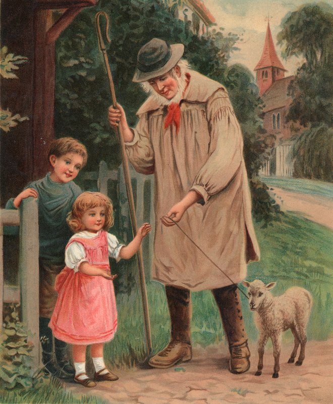 O cordeiro do animal de estimação de English School