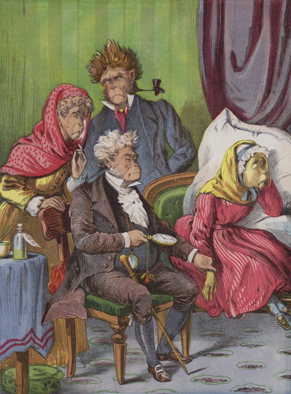 O Médico (chromolitho) de English School