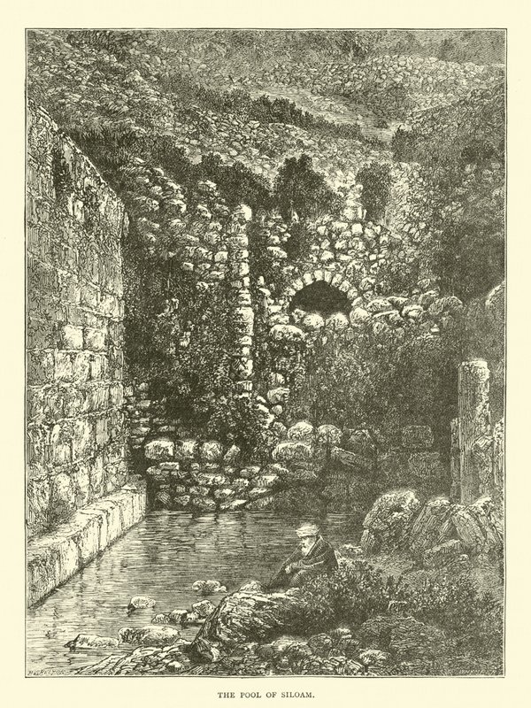 A piscina de Siloé de English School