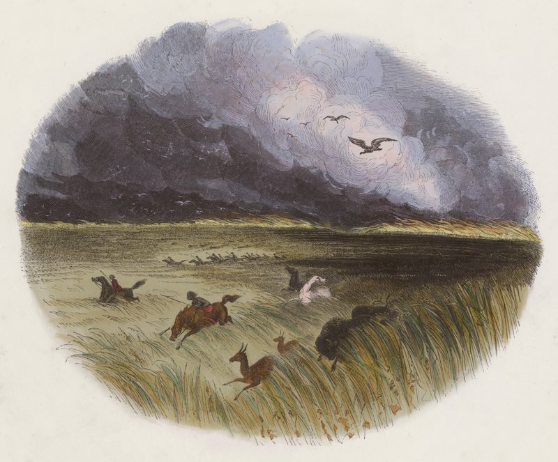 The Prairie on Fire (gravura colorida) de English School