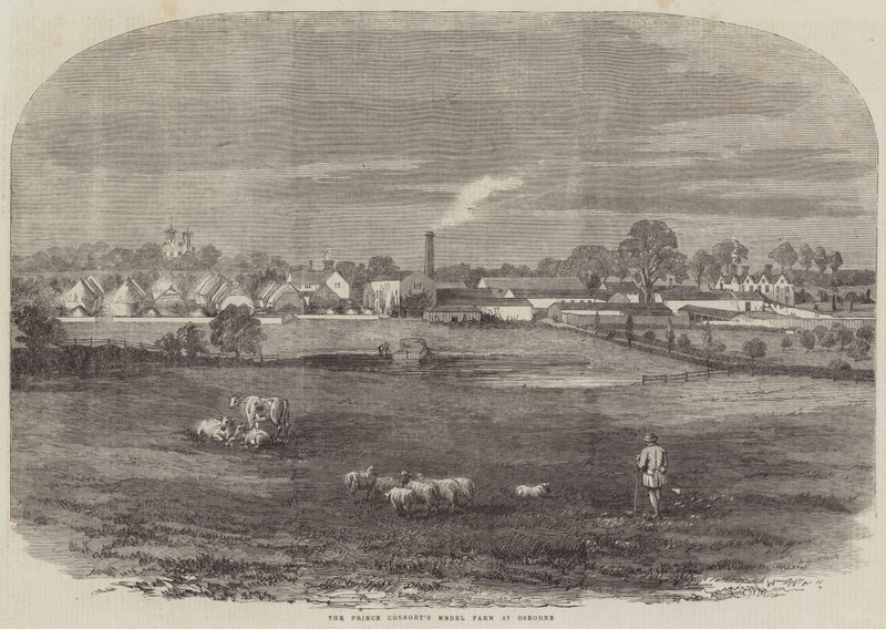 A Fazenda Modelo do Príncipe Consorte em Osborne (gravura) de English School