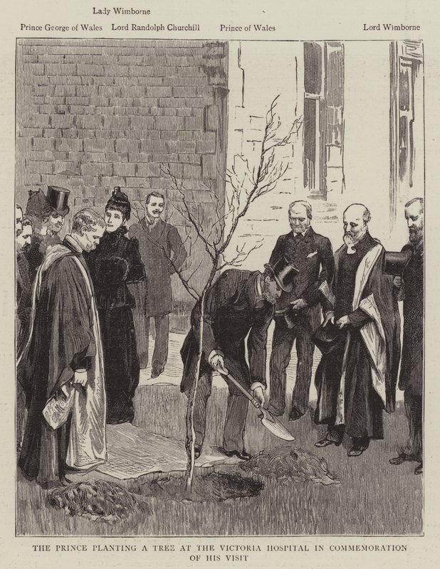 O Príncipe plantando uma árvore no Hospital Victoria em Comemoração à sua Visita (gravura) de English School