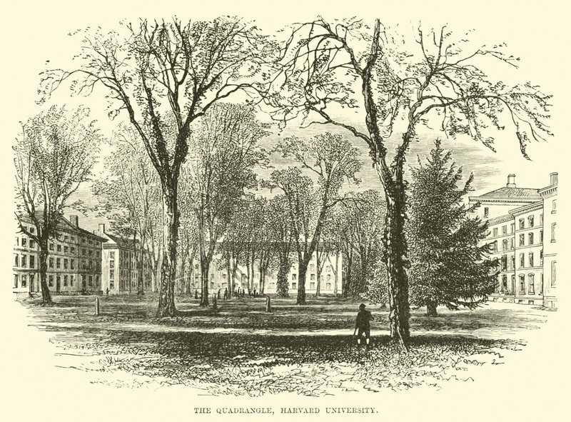 O Quadrilátero, Universidade de Harvard de English School
