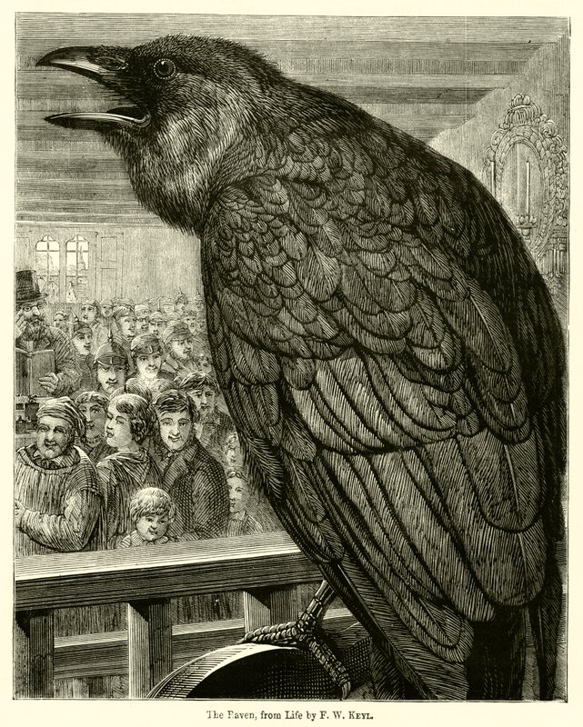 O Corvo, da Vida (gravura) de English School