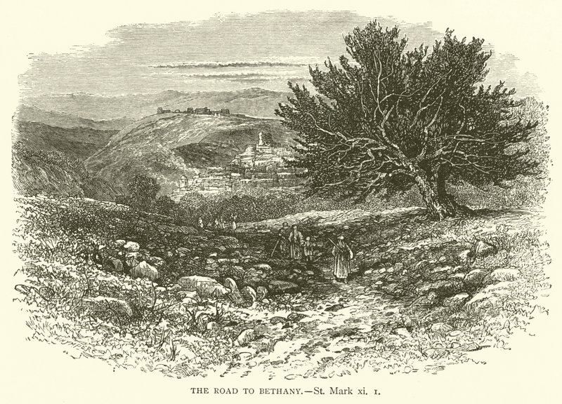 A estrada para Betânia, São Marcos, xi de English School