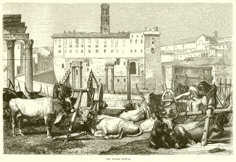 O Fórum Romano de English School