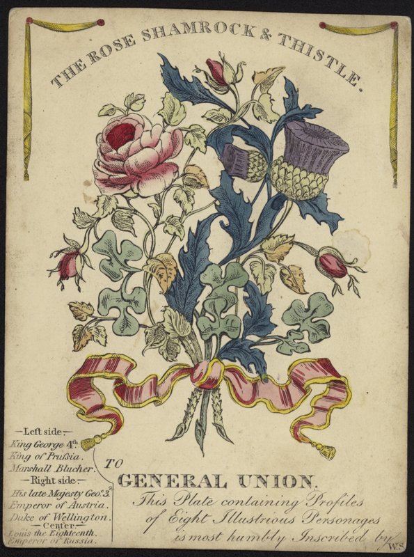 A rosa, o trevo e o cardo à união geral (gravura da cor) de English School