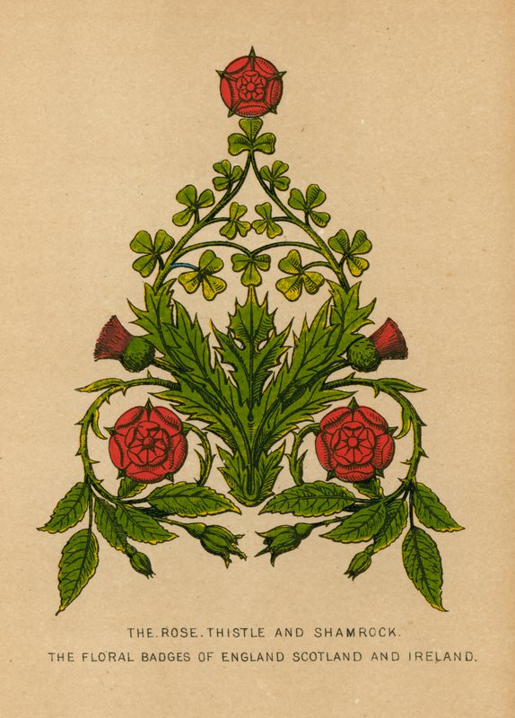 A rosa, cardo e trevo. Os emblemas florais da Inglaterra, Escócia e Irlanda de English School