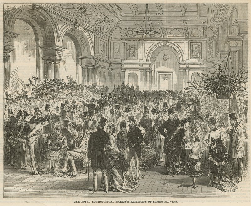 A exposição de horticultura da Royal Horticultural Societys de English School