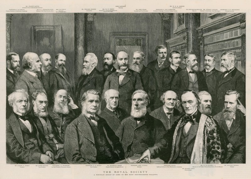 The Royal Society de English School