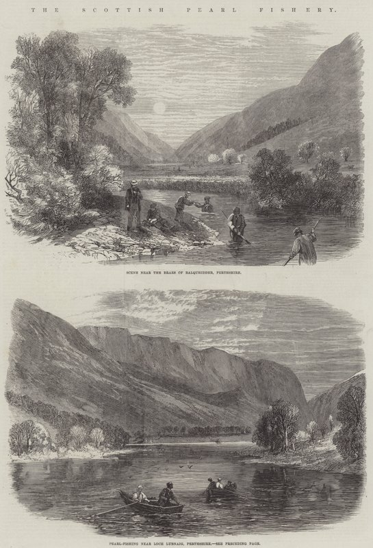 The Scottish Pearl Fishery (gravura) de English School