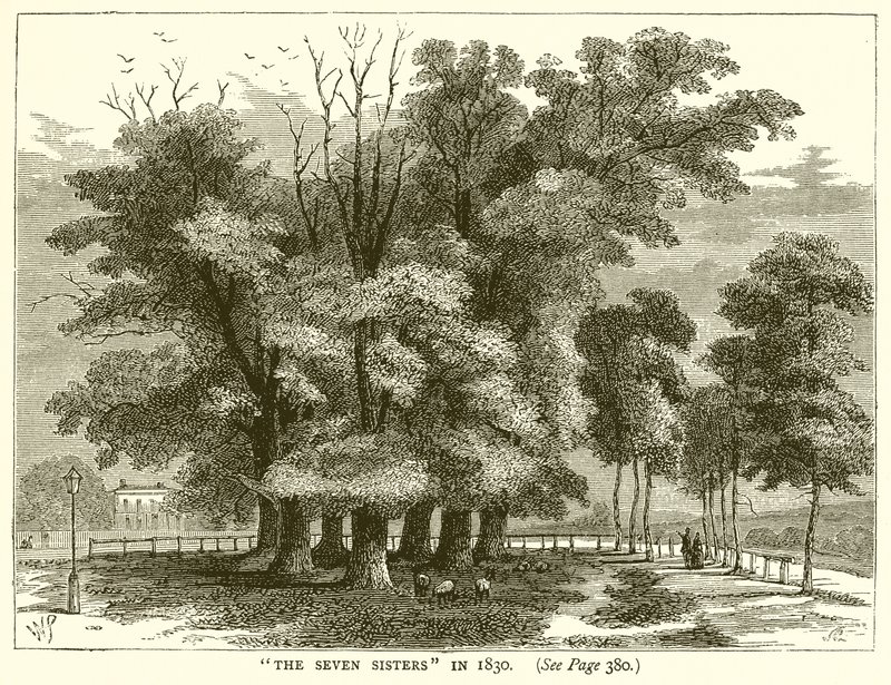As sete irmãs em 1830 de English School