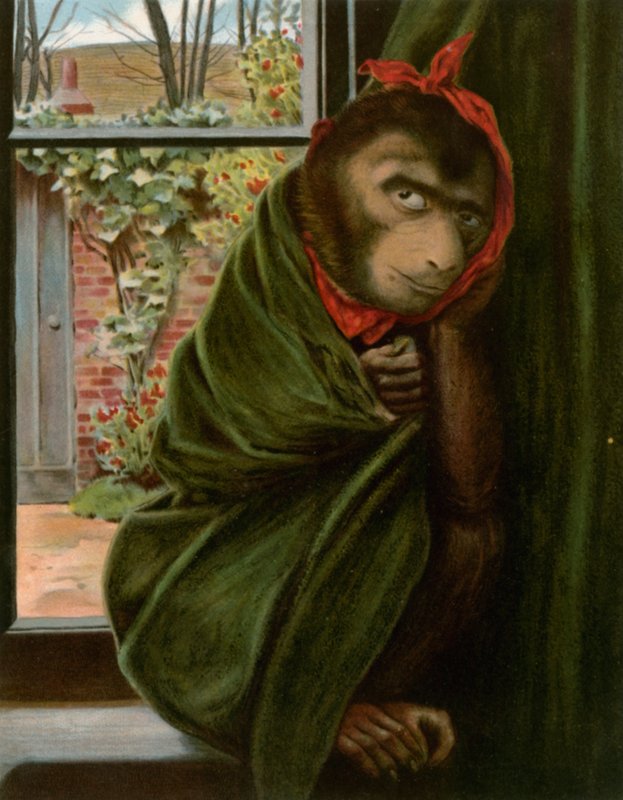O macaco doente de English School