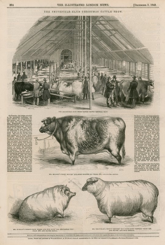 O Smithfield Club Christmas Cattle Show de English School