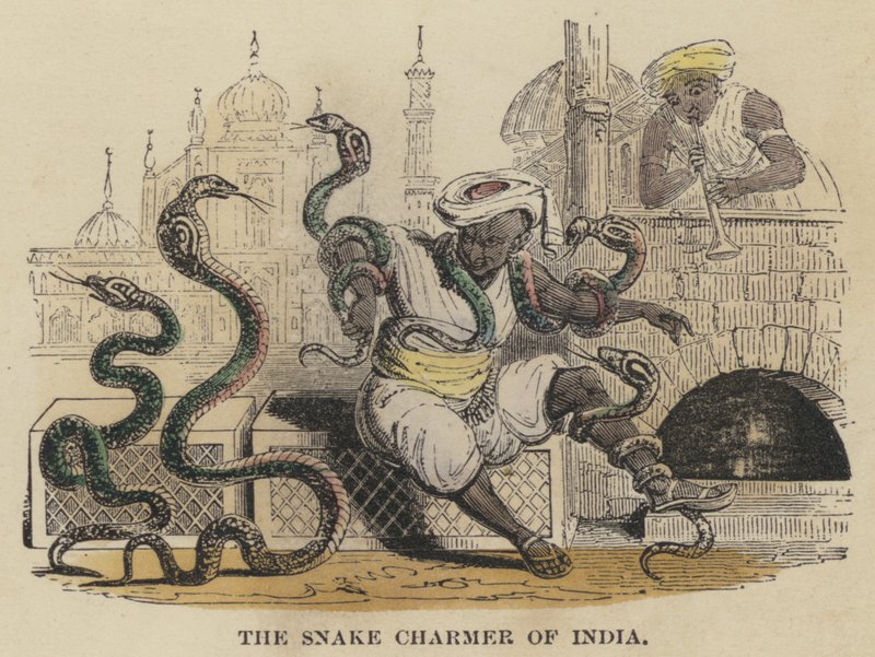 The Snake Charmer of India (gravura colorida) de English School