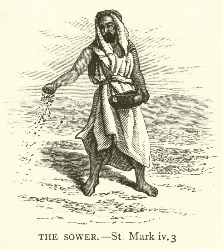 O Semeador, St Mark, iv, 3 (gravura) de English School
