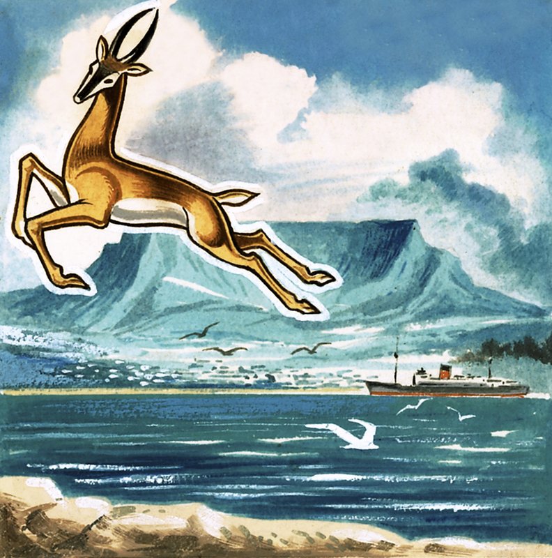 O Springbok, emblema da África do Sul de English School