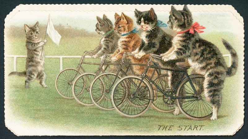 O começo, raça do ciclo do gato, cartão de Natal de English School