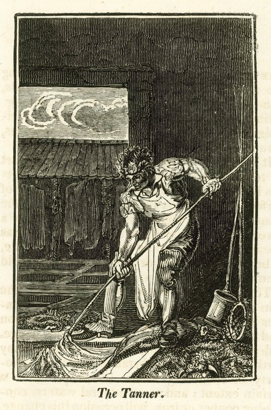 O curtidor (gravura) de English School